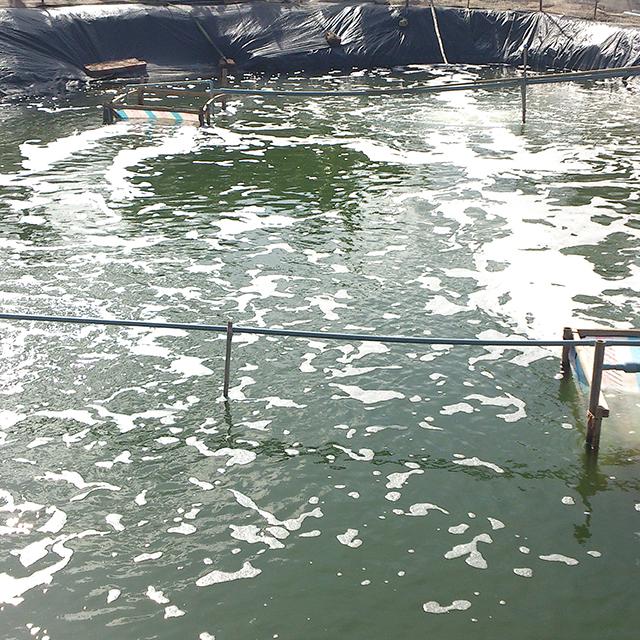 Máy thổi khí AT-50