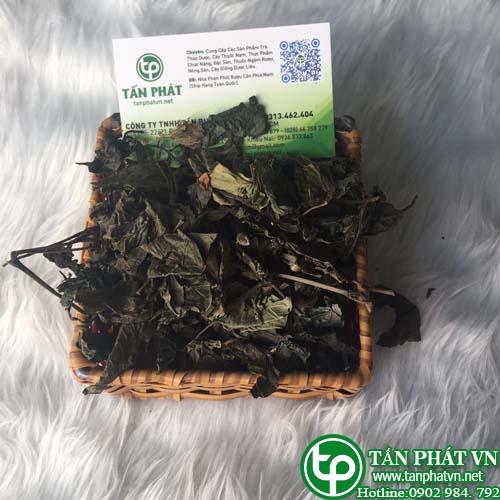 Lá lốt khô 1kg Tấn Phát