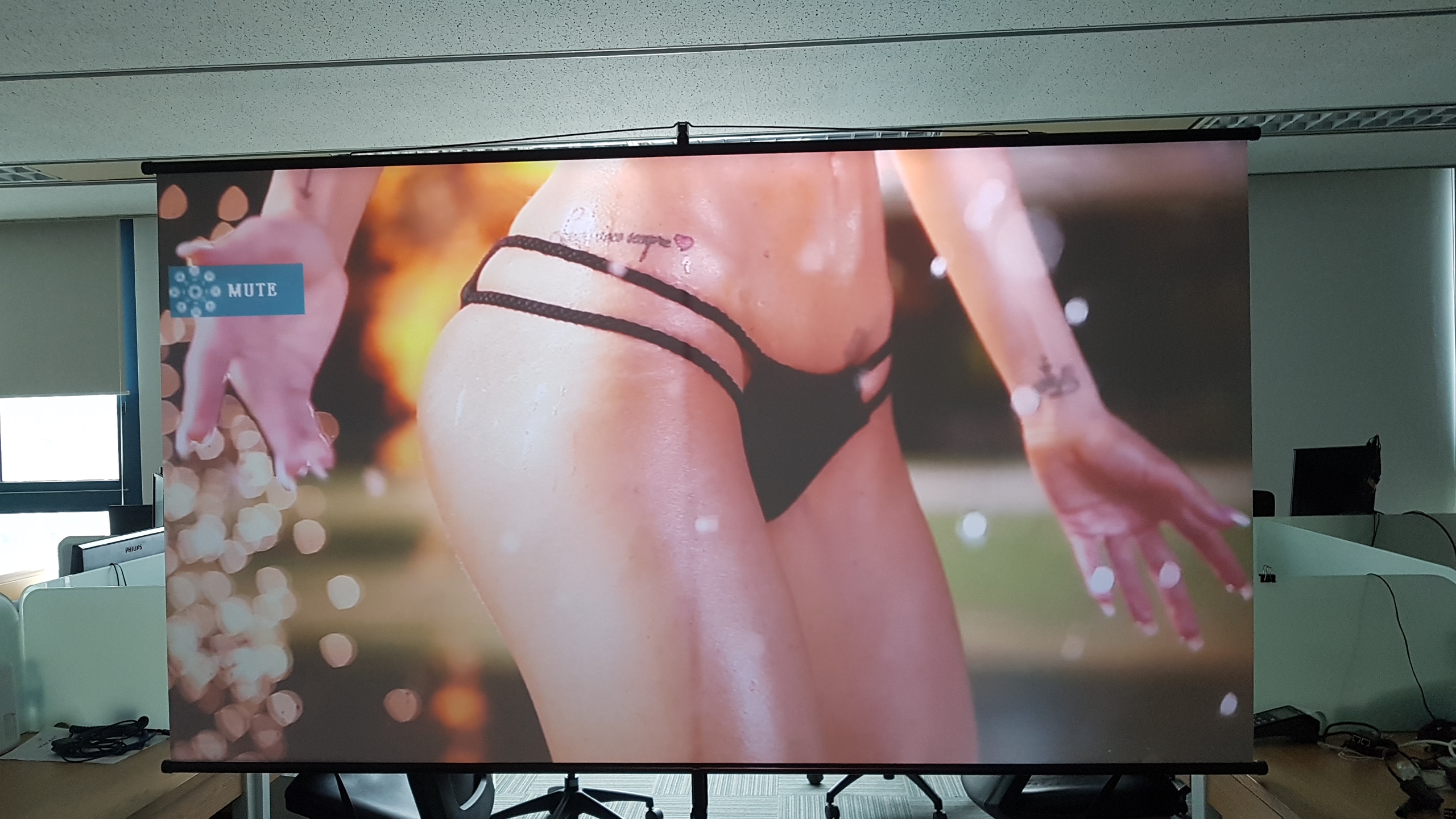 Vải Màn chiếu tương phản cao 120 inch (16:9) 2.58 x 1.60 (không kèm khung)
