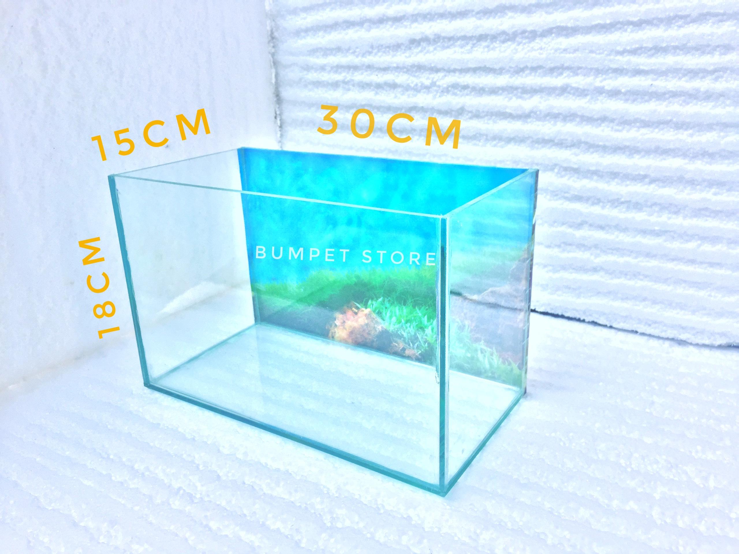 Bể cá cảnh cỡ 30*15*18cm có tranh nền