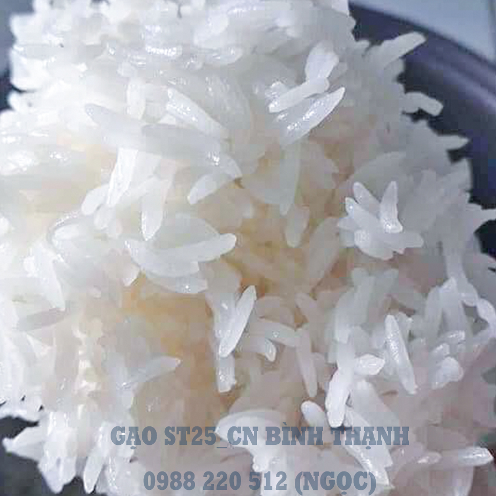 Gạo ST25 (túi 5kg, gạo mới 100%) - ST25-005-165K