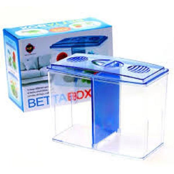 Bể cá chọi Betta box( tặng thức ăn cá)