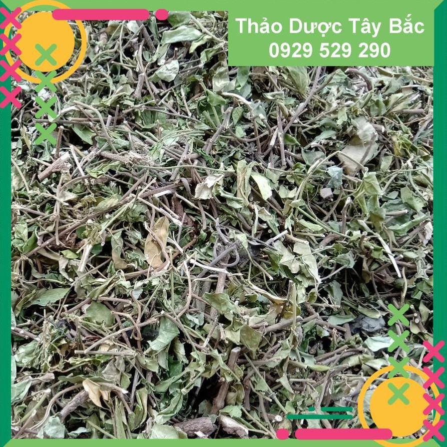 [Hình Thật - 2Kg] ✅✅  Dây Thìa Canh Thái Nguyên