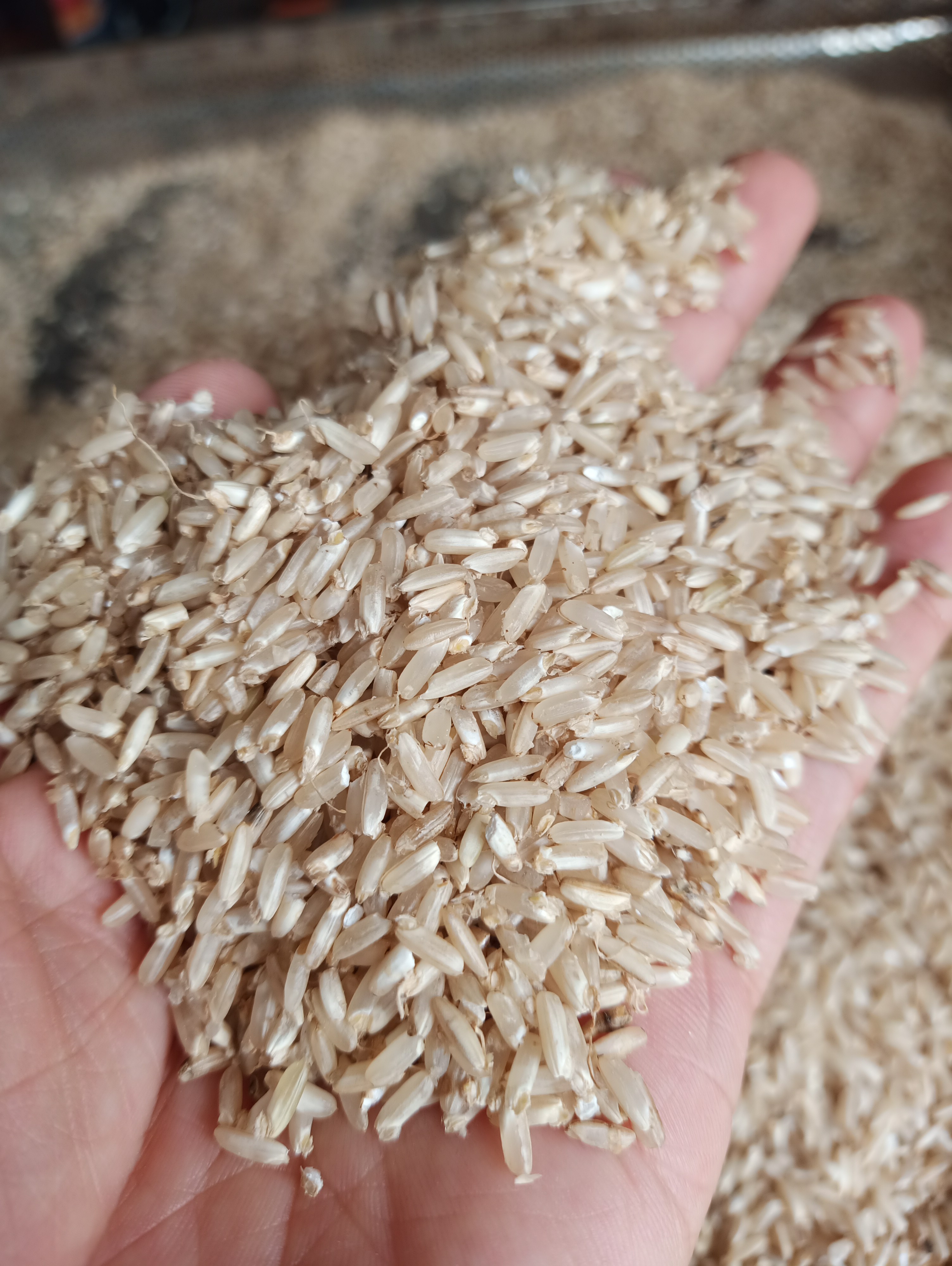 Gạo mầm Kagaba 2 kg