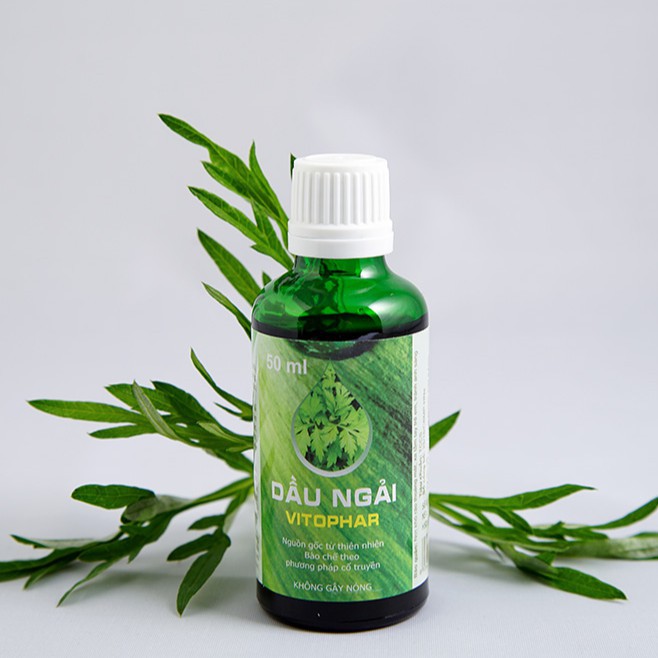 Dầu Ngải Cứu Vitophar 50ml, dùng hỗ trợ trị liệu đau nhức xương khớp, thóa hóa