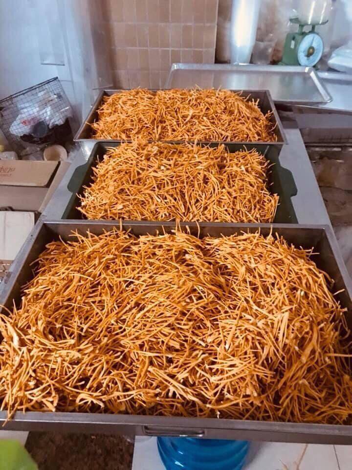100G Nấm Đông Trùng Hạ Thảo Khô