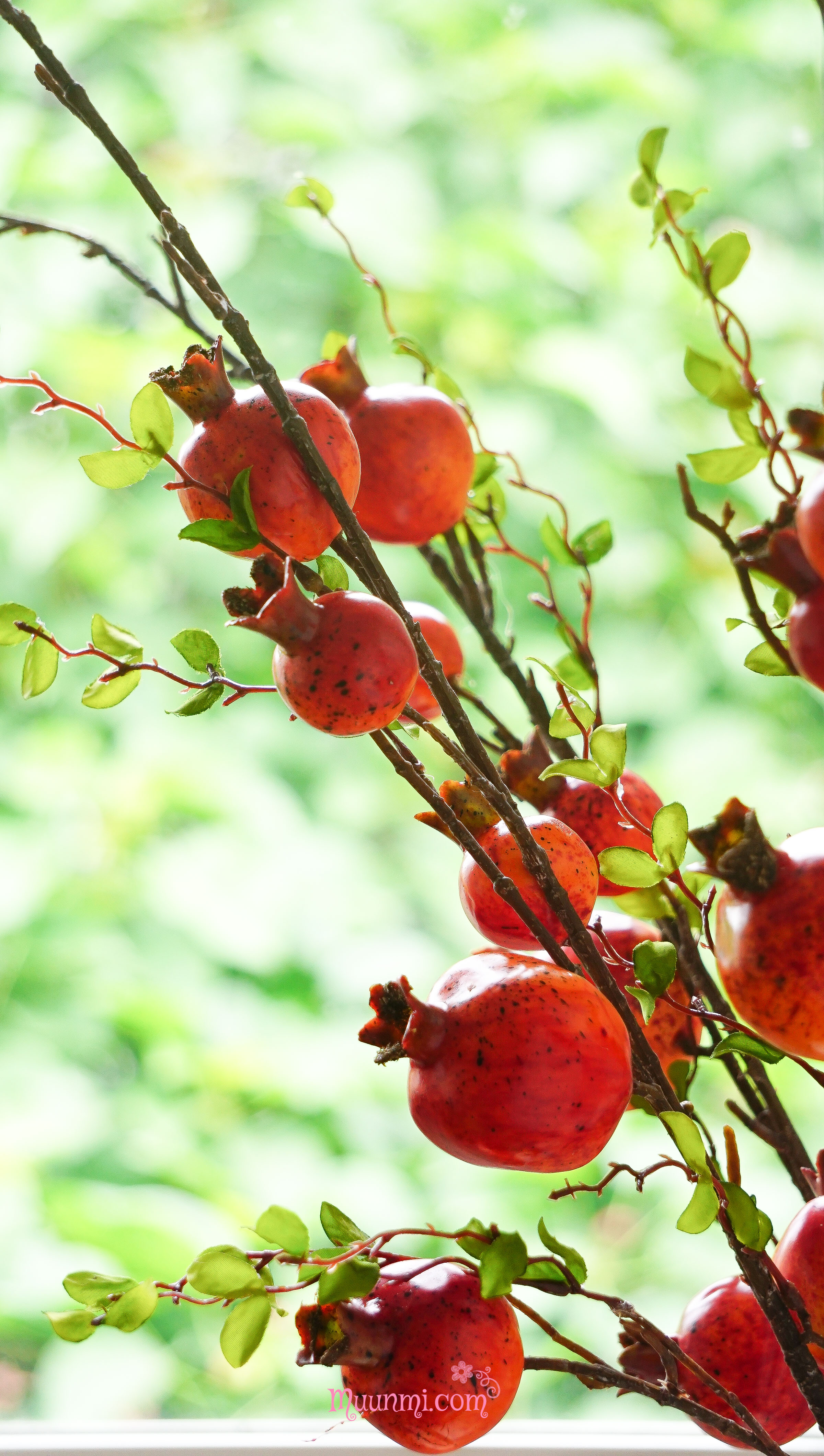 Quả điểm 🍒 | CÀNH LỰU quả mọng trang trí cao cấp