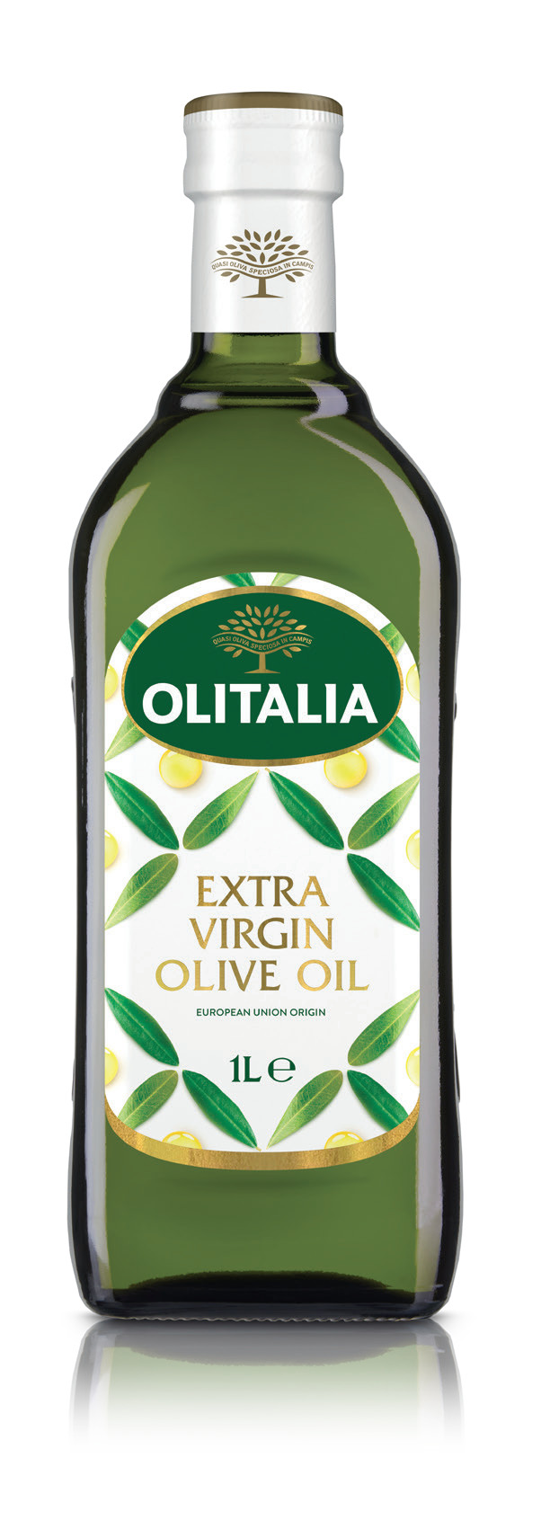 [HCM]DẦU OLIU OLITALIA