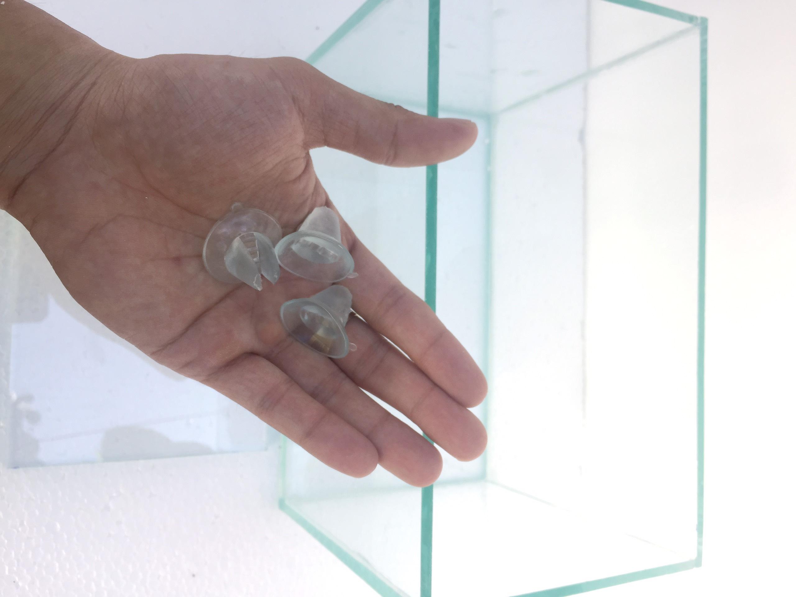 Bể cá betta có vách ngăn đôi - bể cá mini (vách ngăn có thể tháo lắp)