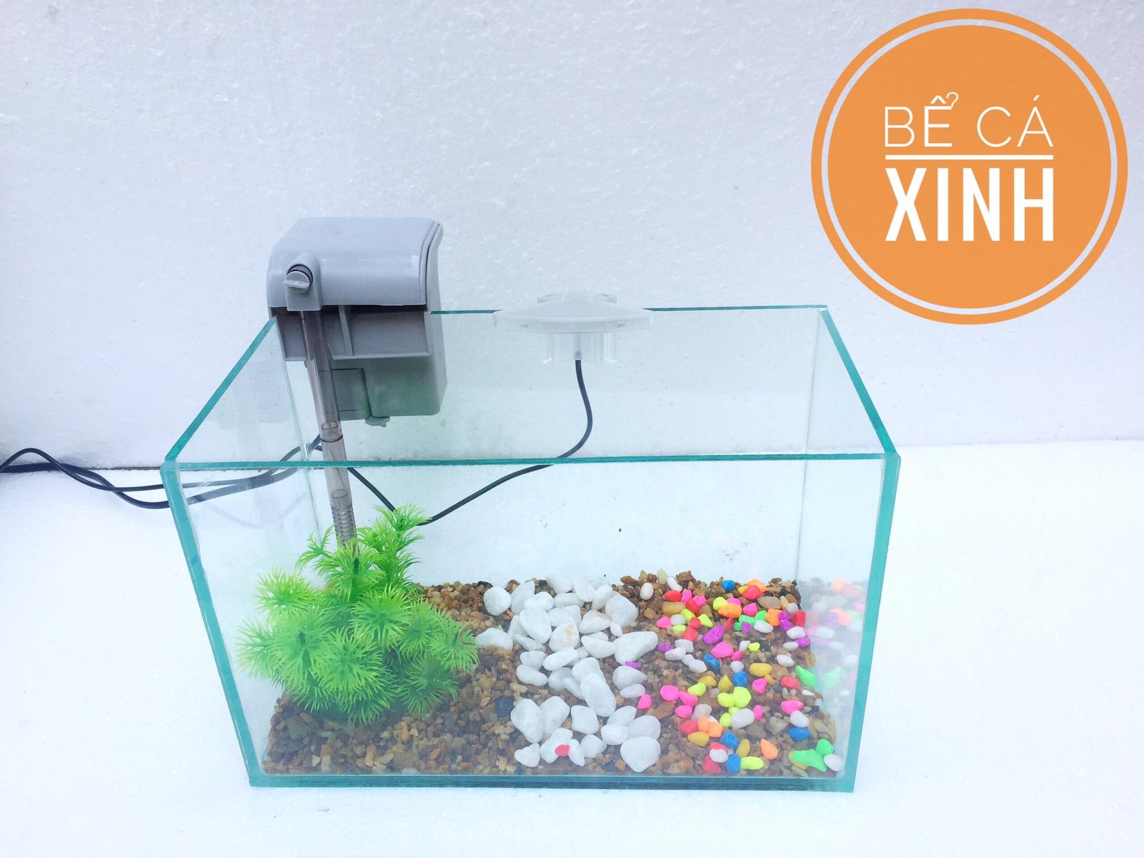 Bộ sản phẩm bể cá mini để bàn