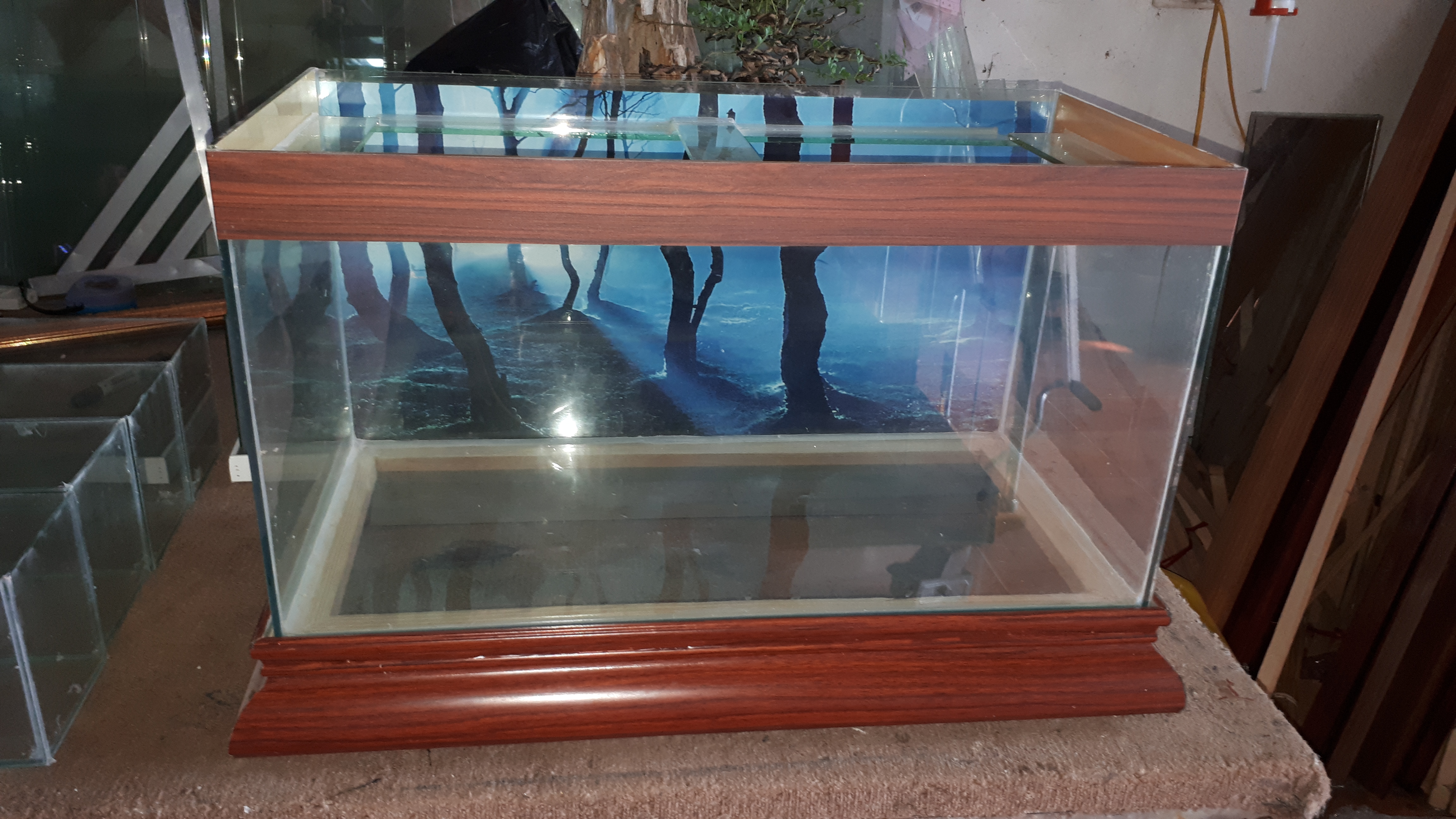 Bể cá 60 x 30 x 40 (cm) ( dài x rộng x cao)