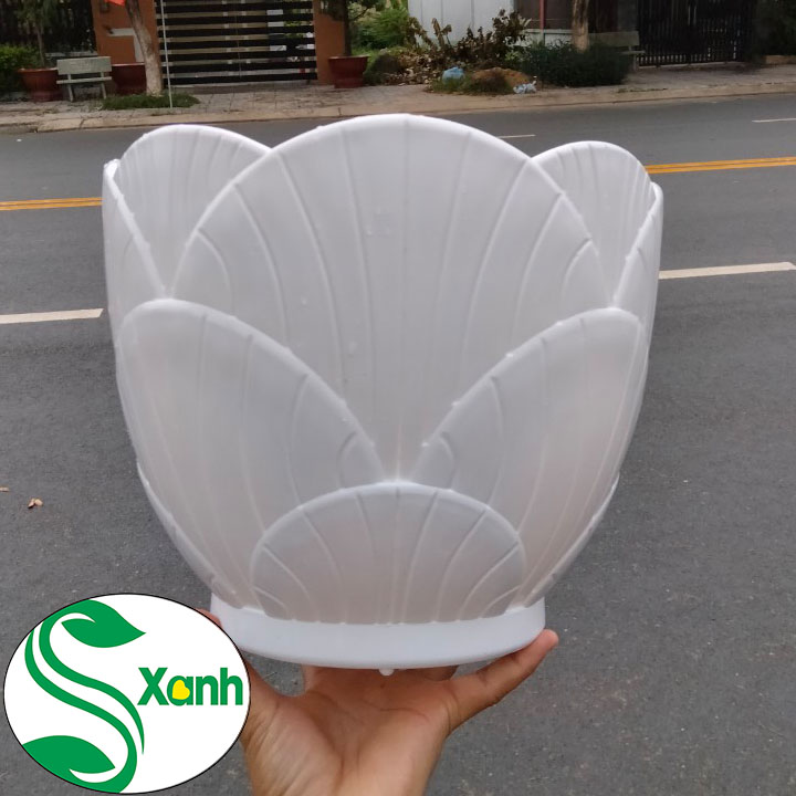 Chậu Sò Nhựa Trồng Cây