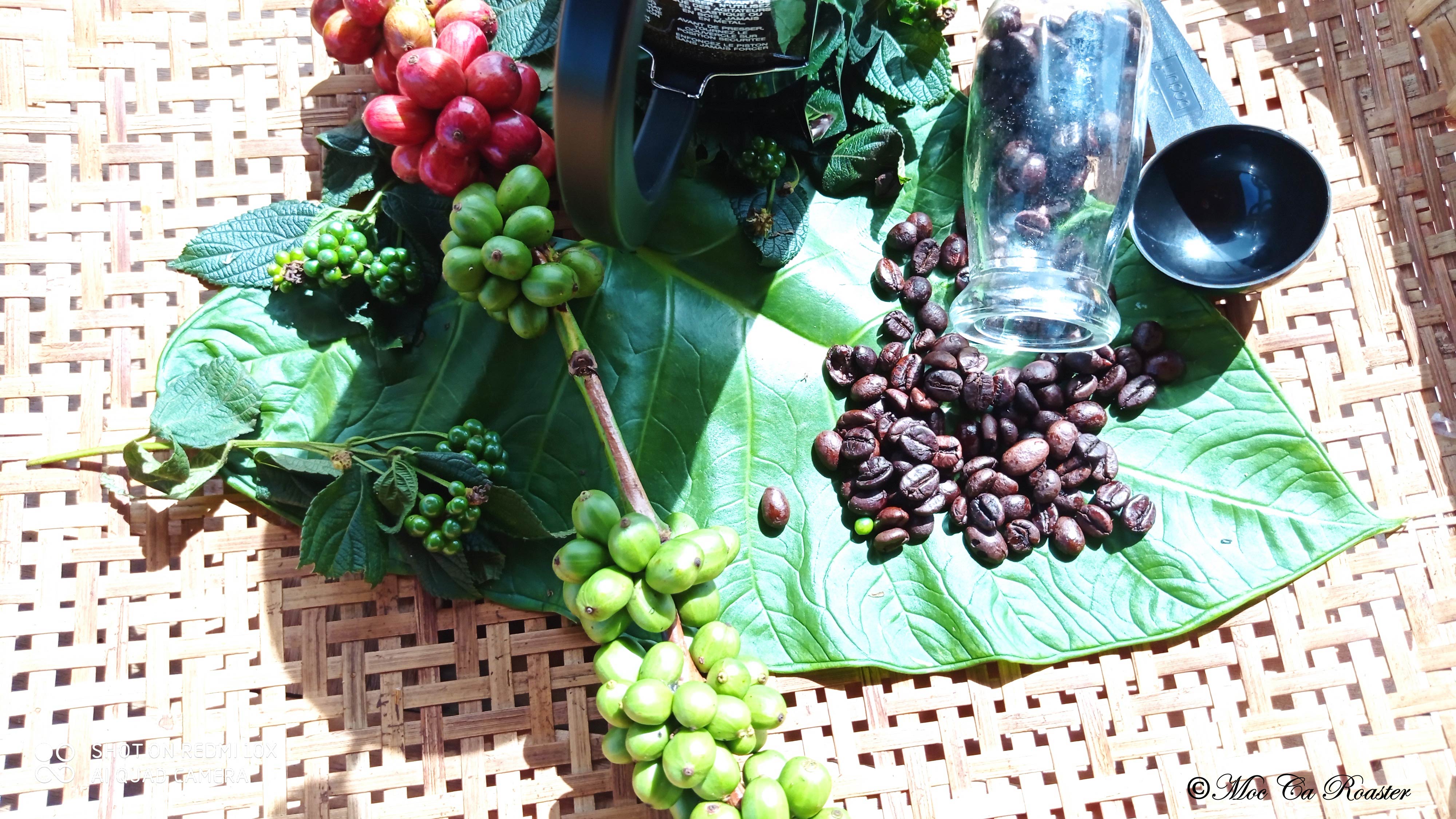 Café nguyên chất Mộc Ca - Mùa Đông 1kg