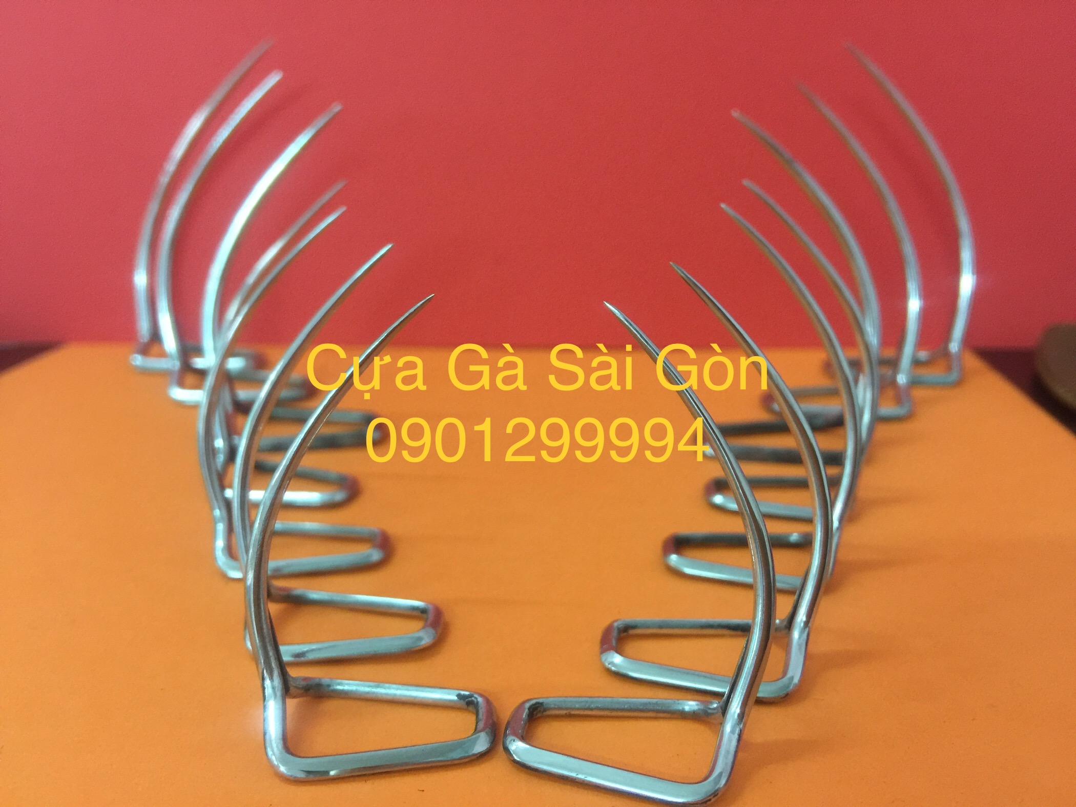 Cựa gà tre lai 42 dùng cho gà F1 ,Free Ship toàn quốc