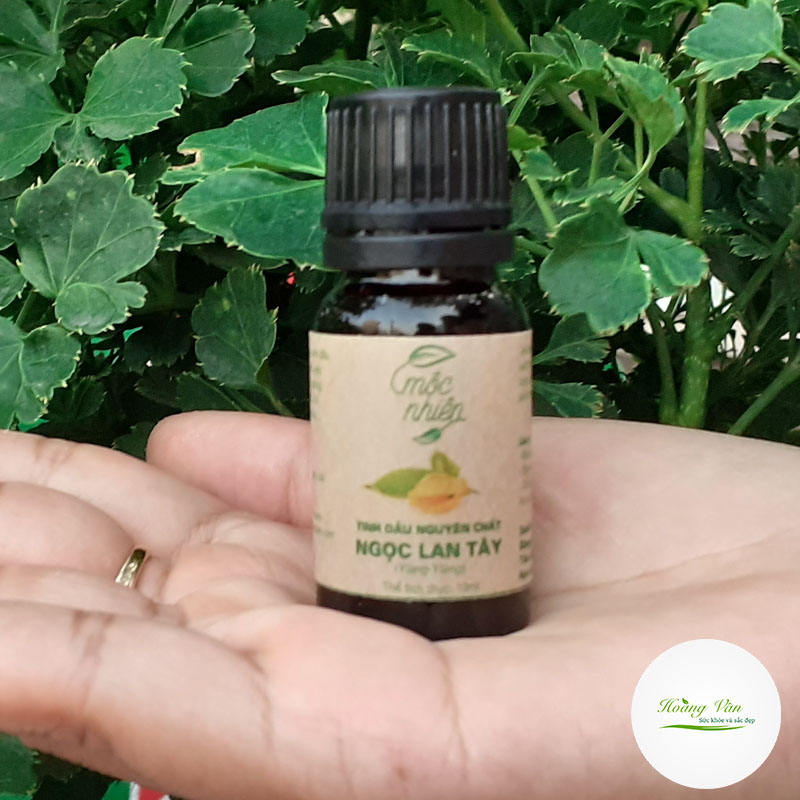 Đèn xông tinh dầu gốm Bát Tràng - Tặng kèm chai tinh dầu 10ml nguyên chất (hương tùy chọn)