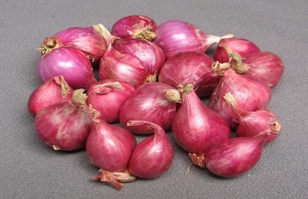 [HCM]1KG củ hành tím