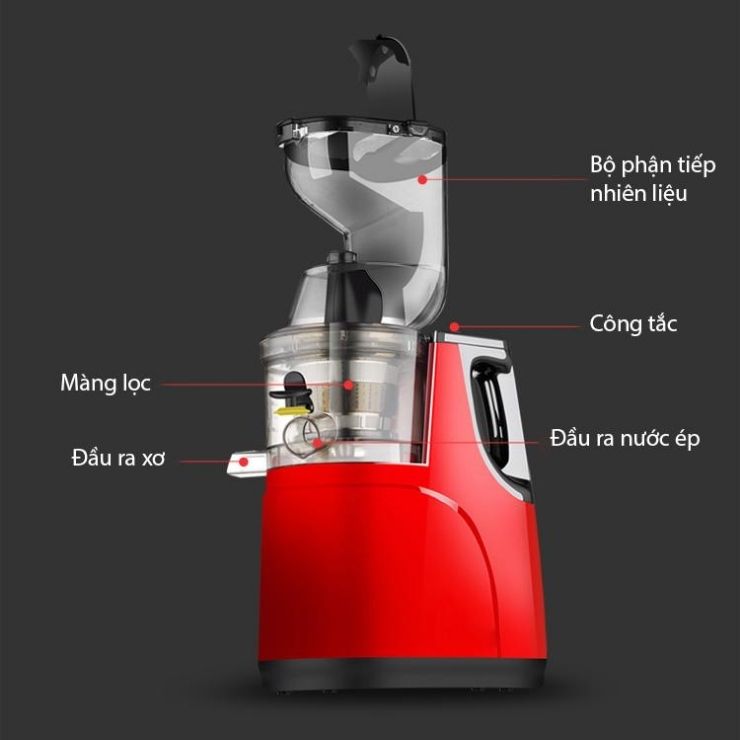Máy Ép Chậm Hoa Quả Cỡ Lớn Hongxin RH312 (Màu Đỏ,Miệng Lớn Tiện Dụng)