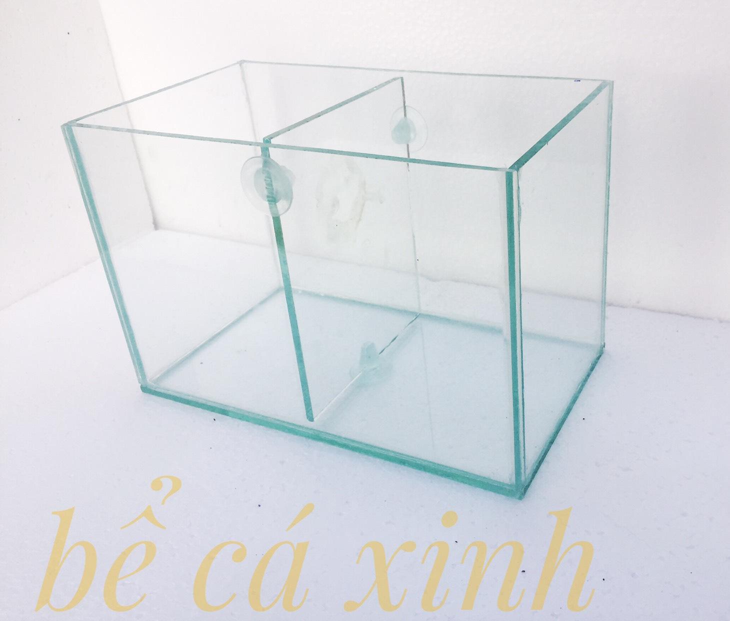 Bể cá beta 2 ngăn - bể cá cảnh mini 2 in 1 ( vách ngăn có thể tháo rời)