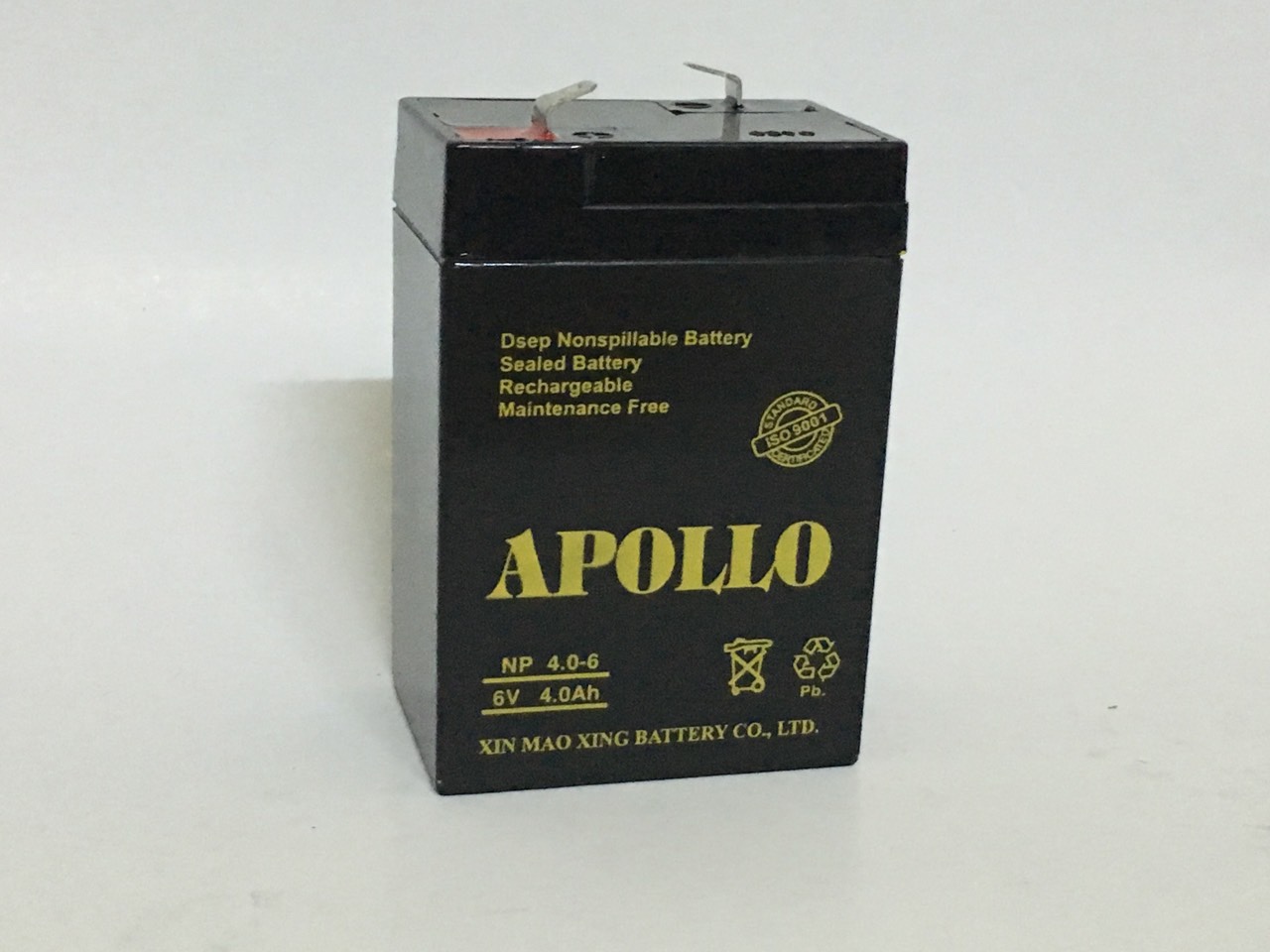 Ắc quy Apollo 6V 4ah