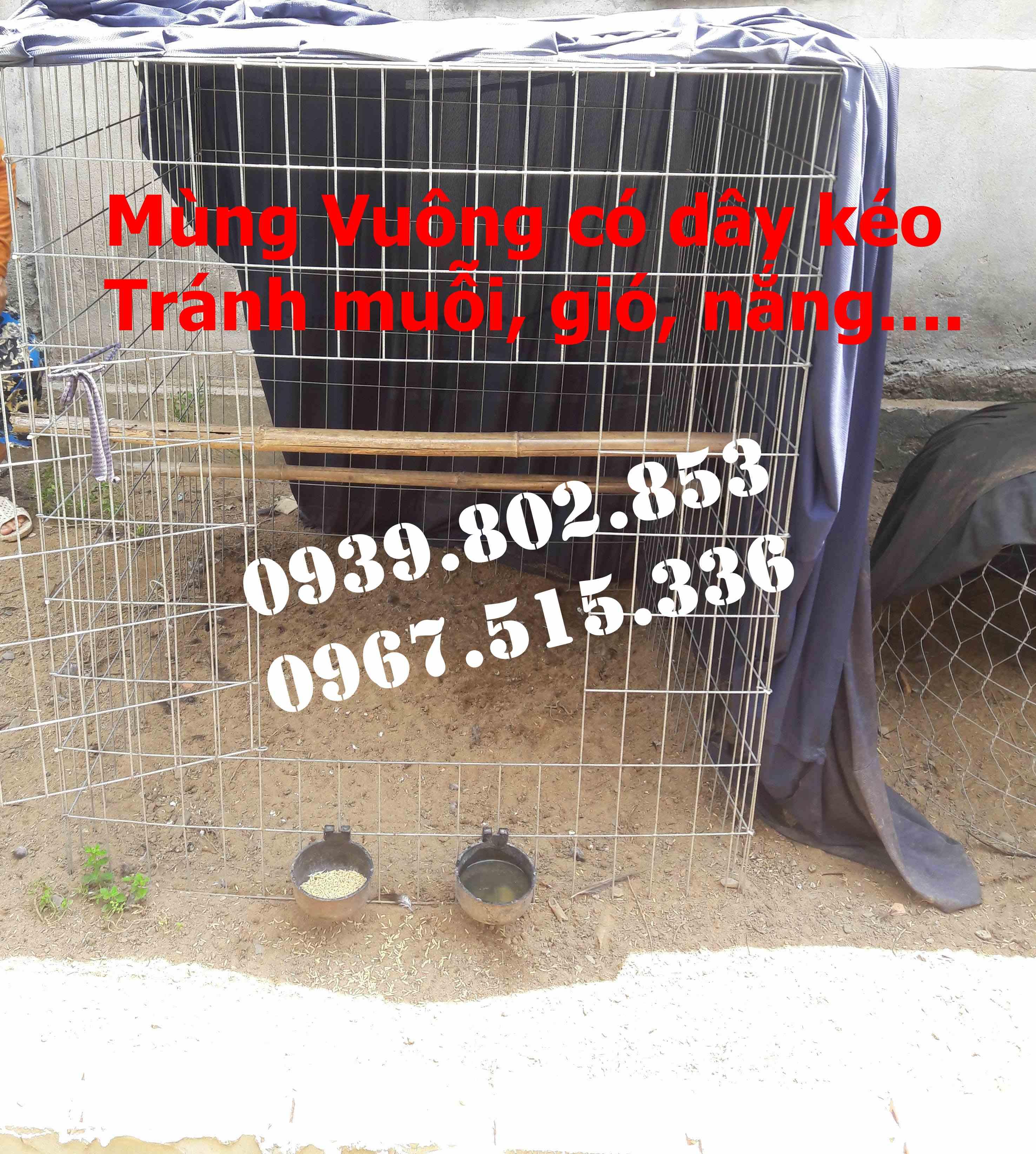 Mùng gà vuông kích thước 1mx1mx1,2m | Mùng vuông có dây kéo giá rẻ | Mùng gà nòi cho bội vuông | Màn vuông có dây kéo giá rẻ