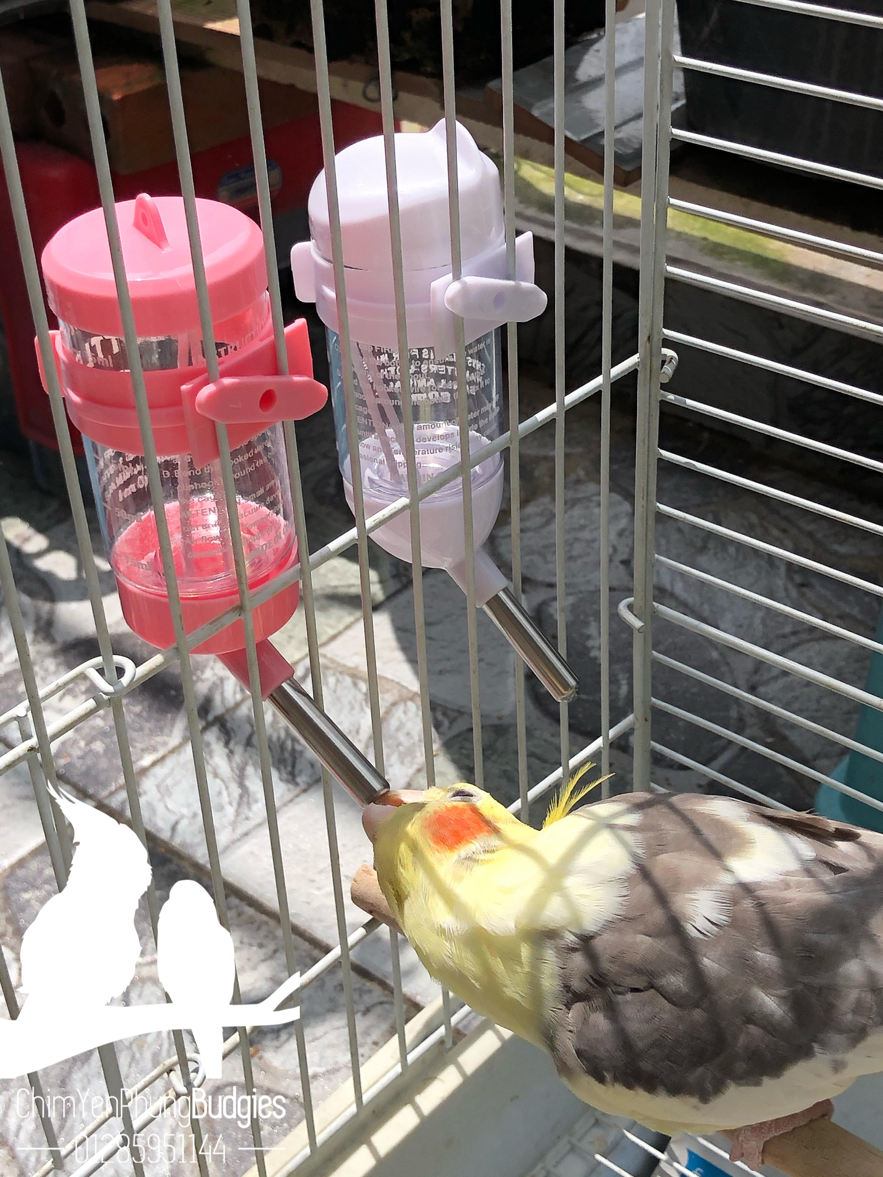 Bình nước bi cao cấp 80ml cho Hamster • Vẹt • Thú Cưng.