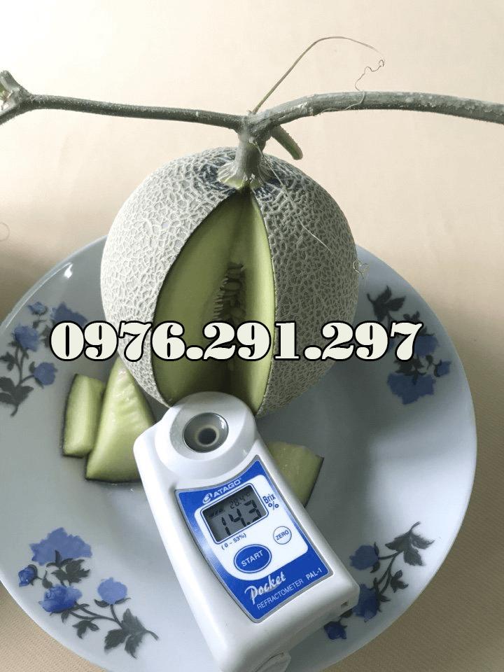 [HCM]Máy đo độ ngọt điện tử Pal 1 Attago - Nhật Bản