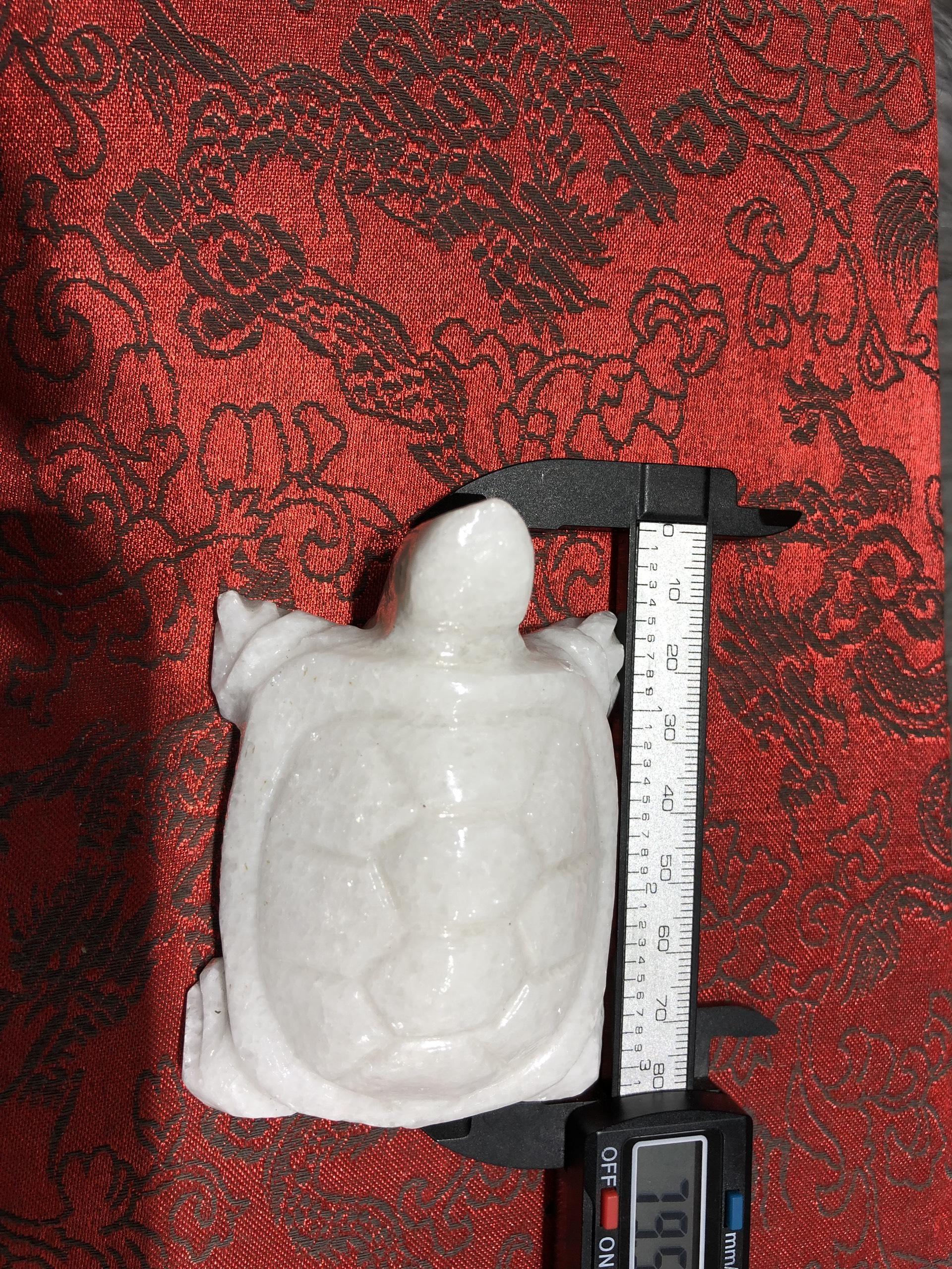 [FreeshipMAX] rùa đá trắng non nước