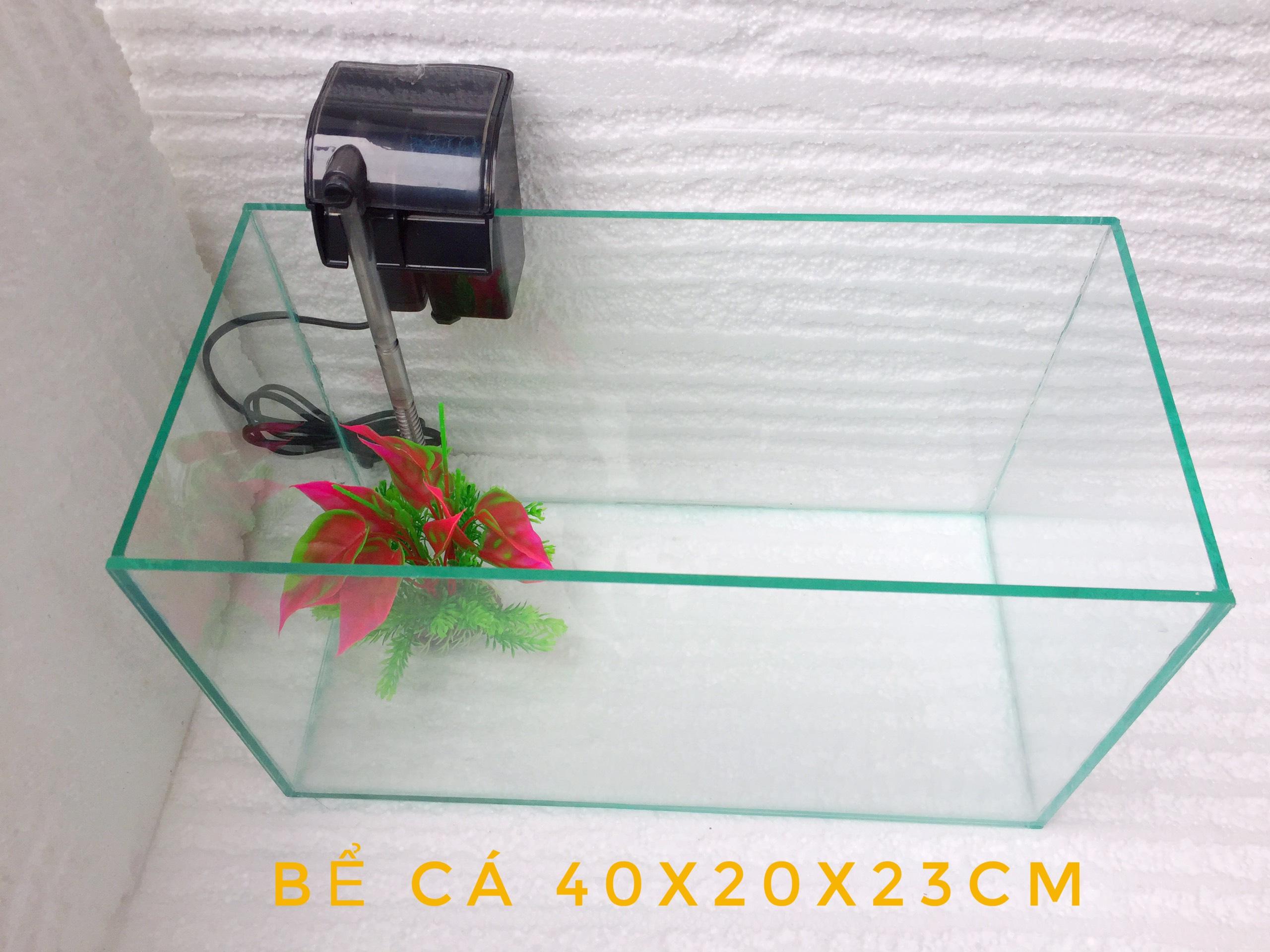 Bể cá size trung 4023cm kèm lọc thác