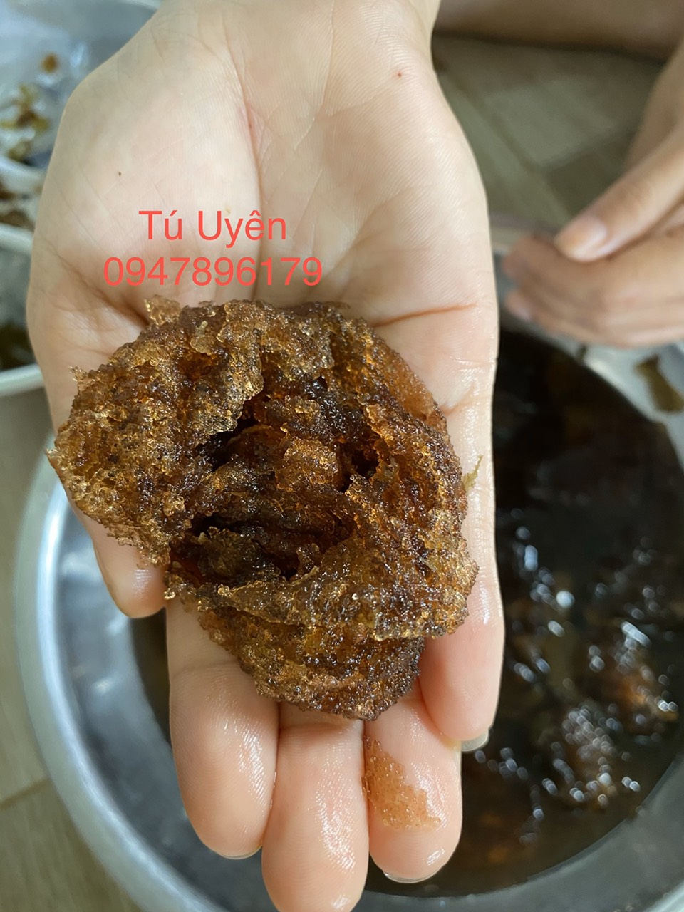 Hạt đười ươi bay rừng Nam Cát Tiên