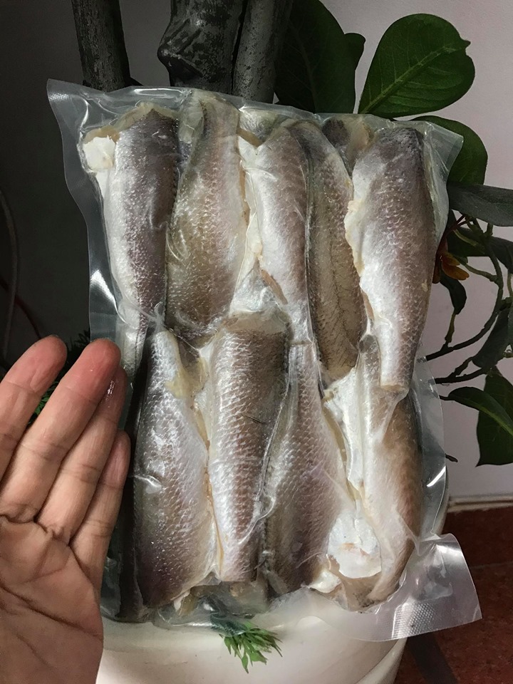 Fish lù Dju 1 sun, sea rod hours