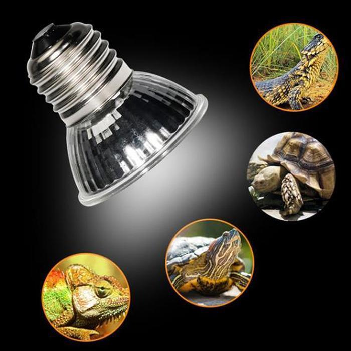 Combo kẹp đèn và bóng đèn UVA UVB cho thú cưng, bò sát