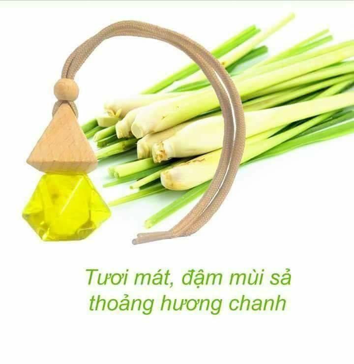 Combo 5 lọ Tinh dầu treo xe hơi hương sả chanh.