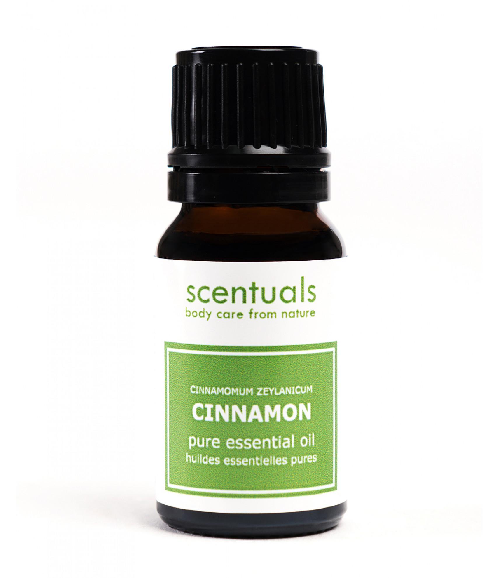 Tinh dầu Xông Phòng Hương Lá Quế Scentuals Cinnamon Leaf Pure Essential Oil 10ml