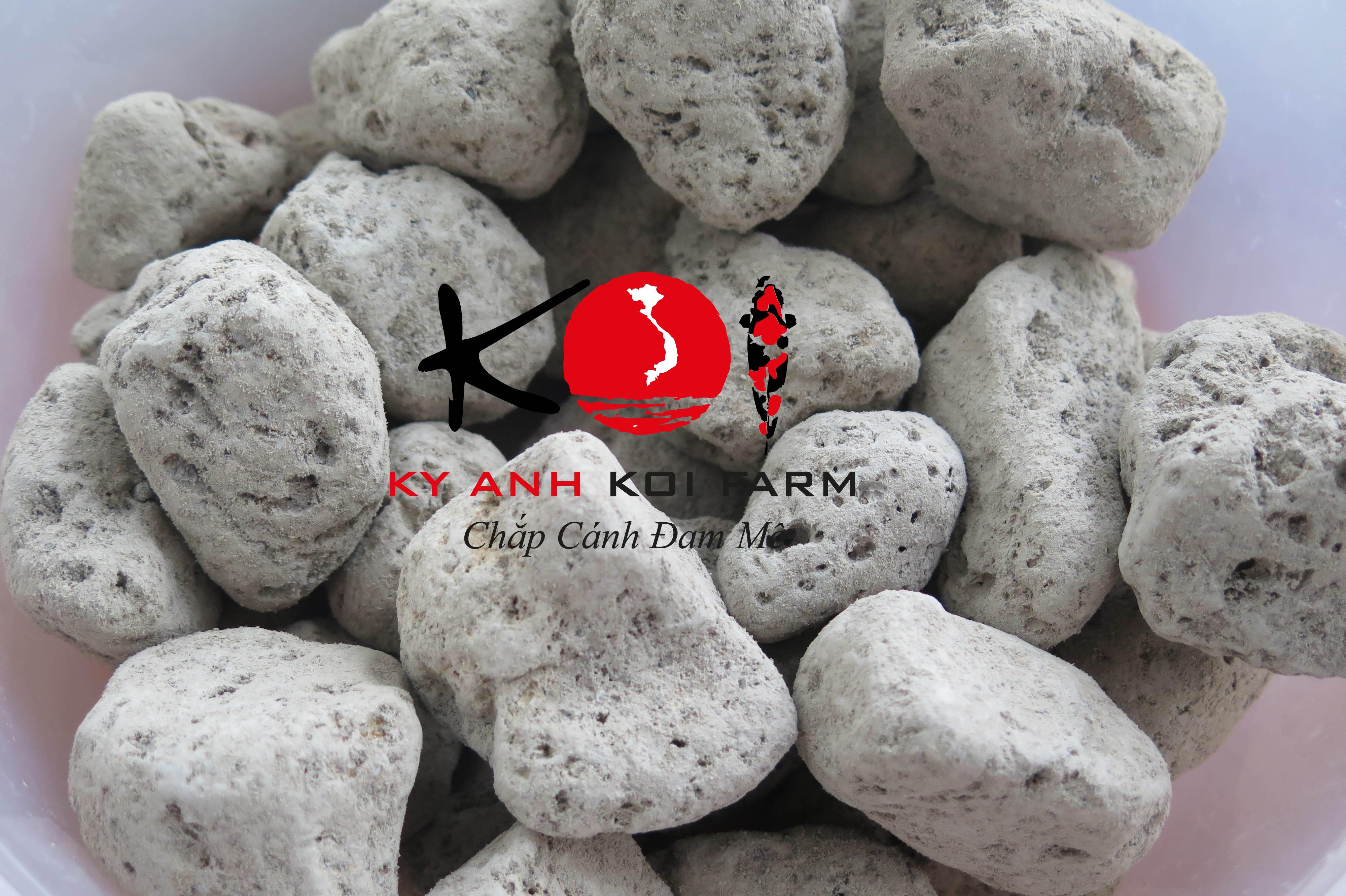 [HCM][xả kho trong 3 ngày] ĐÁ NHAM THẠCH TRẮNG ( ĐÁ LÔNG VŨ)-lọc nước hồ cá-Kỳ Anh♥