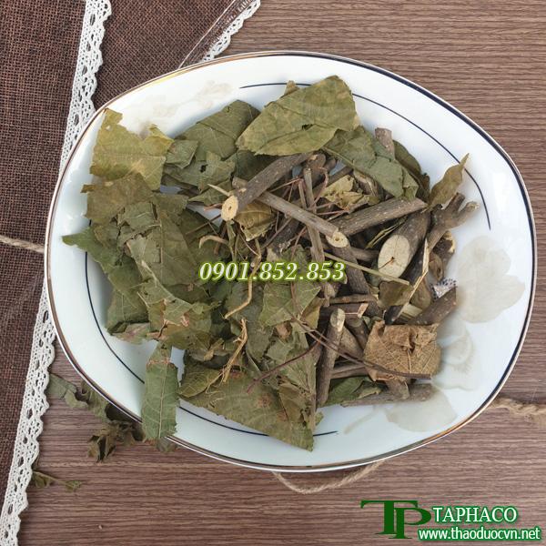 Bạch đồng nữ khô 200g - taphaco - Ngăn ngừa tình trạng mẫn ngứa và ghẻ lỡ cực hiệu quả - Thảo Dược Tấn Phát
