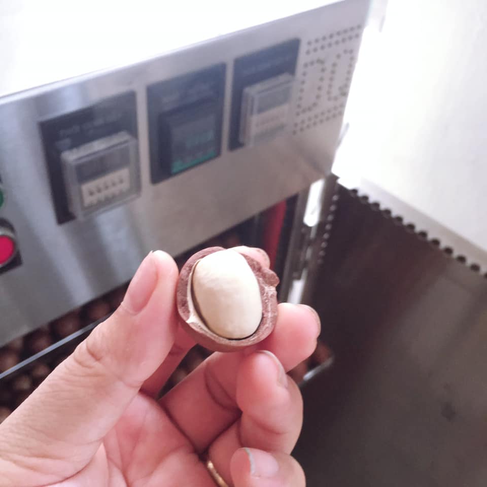 [HCM]Hạt Macca Sạch Lâm Đồng sấy nứt vỏ