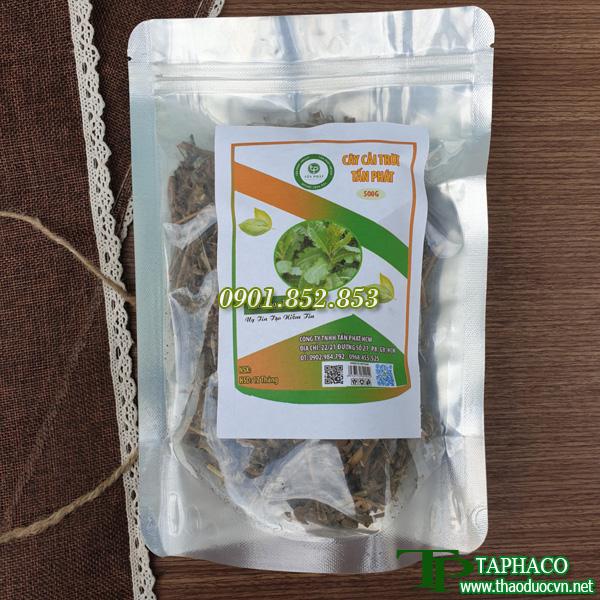 [HOT] Cây cải trời khô 250g