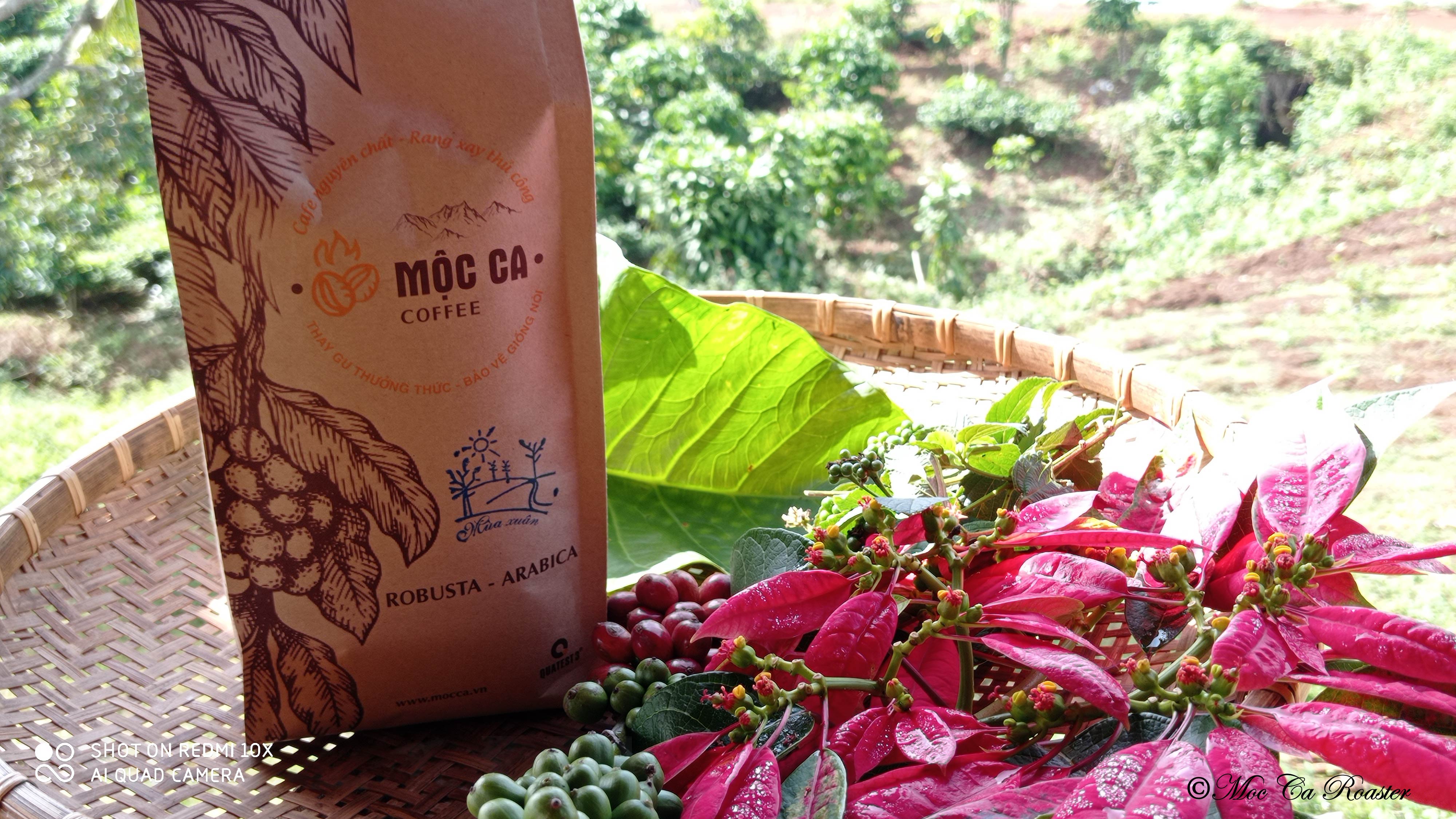 Café nguyên chất Mộc Ca - Mùa Đông 1kg