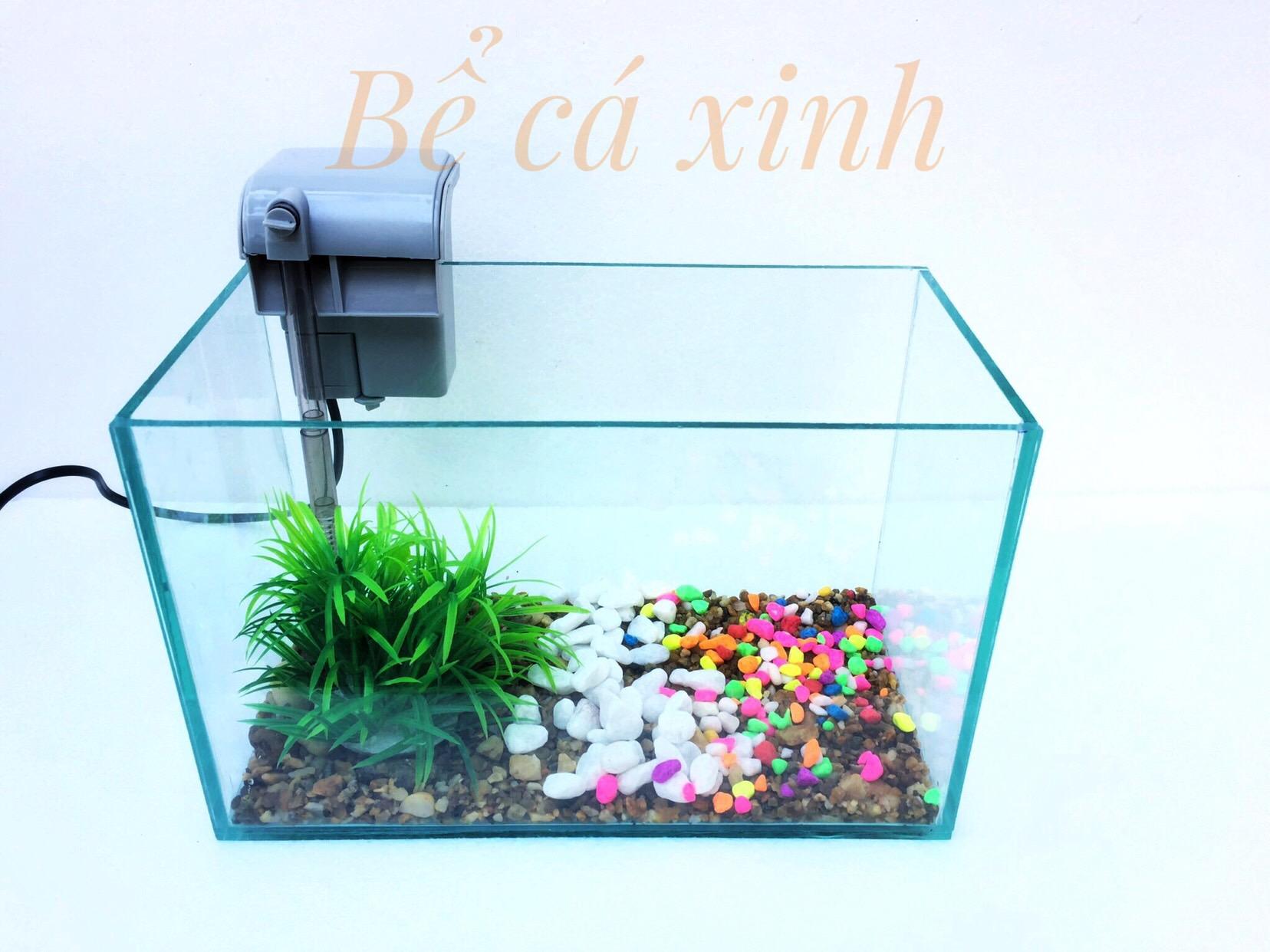 Bể cá để bàn và lọc thác mini (tặng phụ kiện và thức ăn) 30X15X15CM
