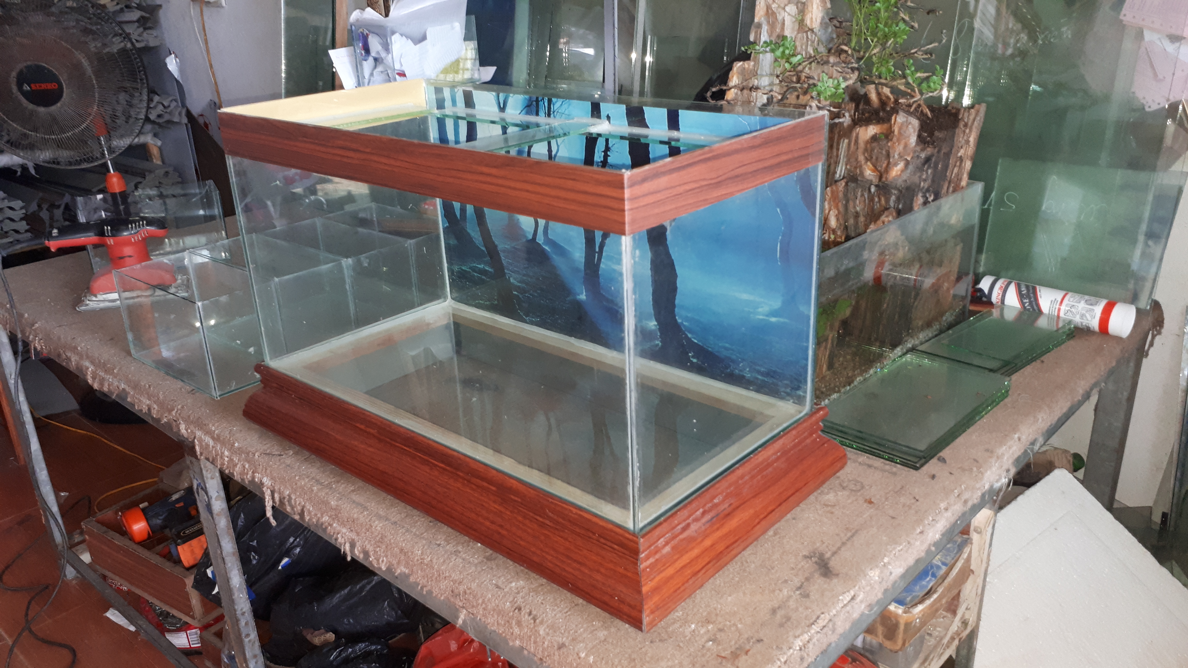 Bể cá 60 x 30 x 40 (cm) ( dài x rộng x cao)