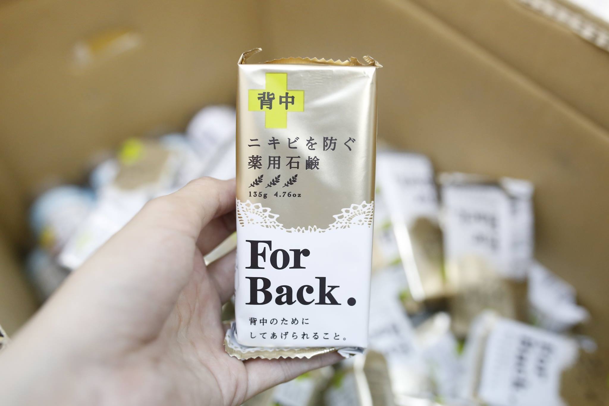 Xà Phòng Mụn Lưng Pelican For Back Medicated Soap (135g)