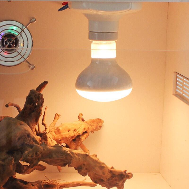 Bóng đèn sưởi ngày dành cho thú cưng- bò sát