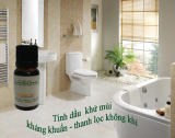 Tinh dầu hoa nhài Extra 10ml