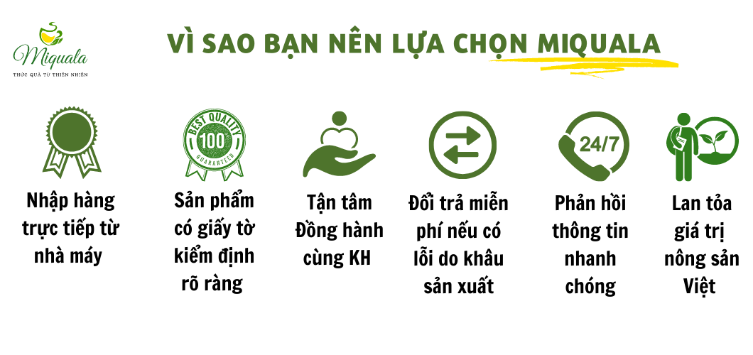 Dầu Gội Bồ Kết Thảo Dược Kích Thích Mọc Tóc Ngăn Rụng Tóc Giảm Ngứa Gàu Thảo Mộc Xưa Organic 500ml Hiệu Quả Sau 7 Ngày Miquala