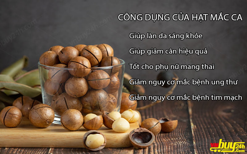 Hạt Macca ĐẮK LẮK nứt vỏ nướng hộp 500g - Kèm dụng cụ tách vỏ, bảo vệ tim mạch, hỗ trợ trao đổi chất và chống oxy hóakèm dụng cụ tách vỏ