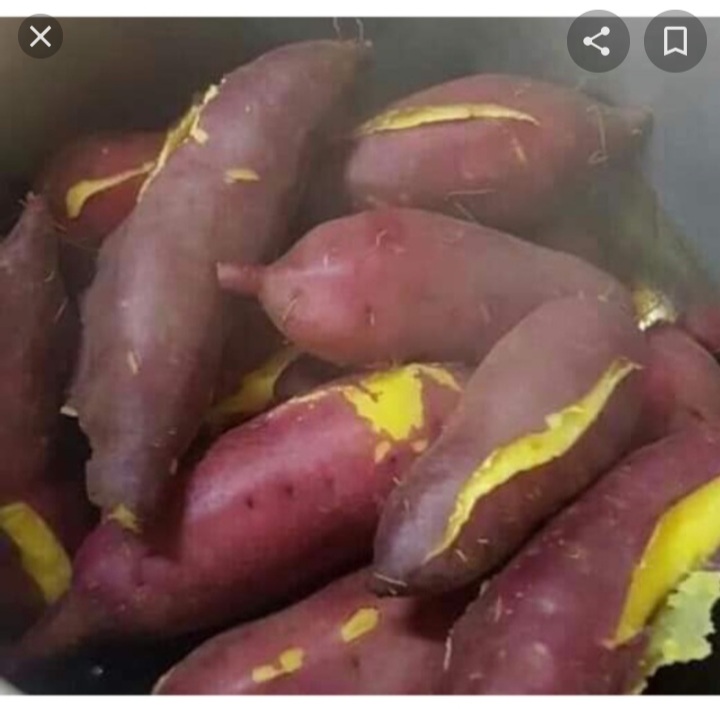 khoai lang vàng ngon ngọt bở bột,bổ rẻ