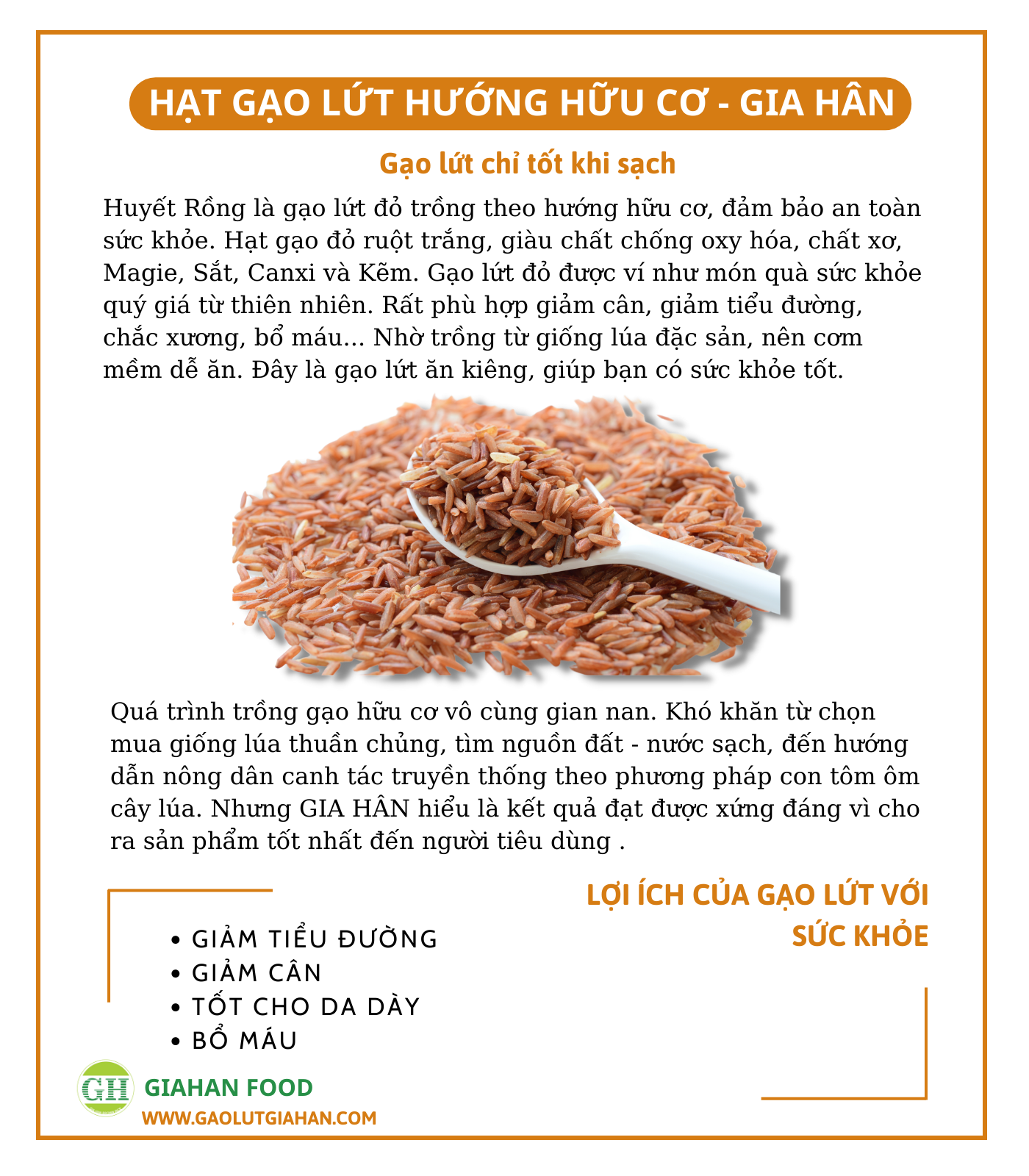 Bột Ngũ Cốc Dưỡng Sinh GiahanFood , Bột ngũ cốc giúp cân bằng đường huyết và bổ sung đạm thực vật , bột ngũ cốc thuần chay , bột ngũ cốc nảy mầm nguyên cám , Bột ngũ cốc giàu chất xơ, đạm thực vật , thuần chay