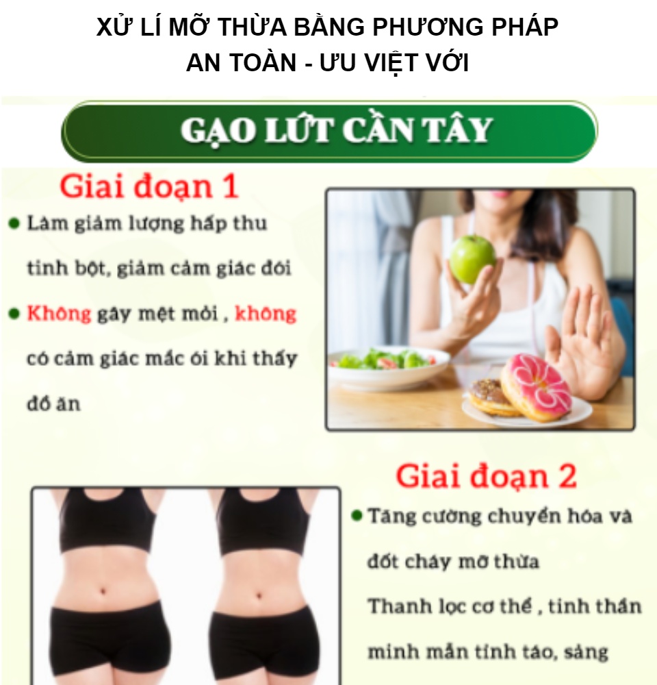 Bột cần tây gạo lứt [Chính Hãng] tạm biệt mỡ thừa đẹp đáng đẹp da (Hộp 14 gói)