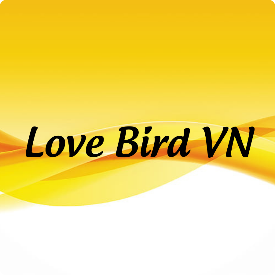 Love Bird VN
