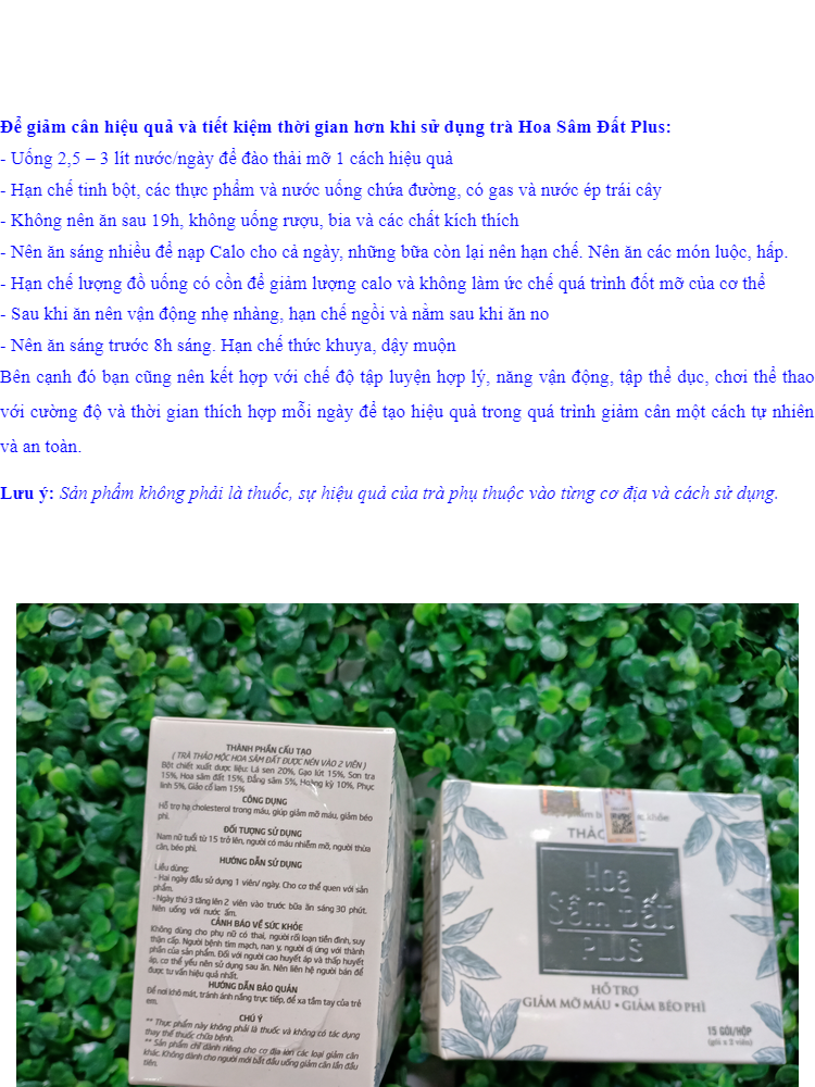 Trà giảm cân Hoa Sâm Đất Plus (15 gói)